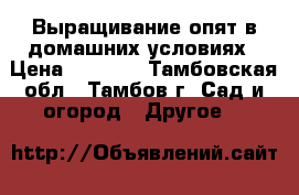 Выращивание опят в домашних условиях › Цена ­ 1 850 - Тамбовская обл., Тамбов г. Сад и огород » Другое   